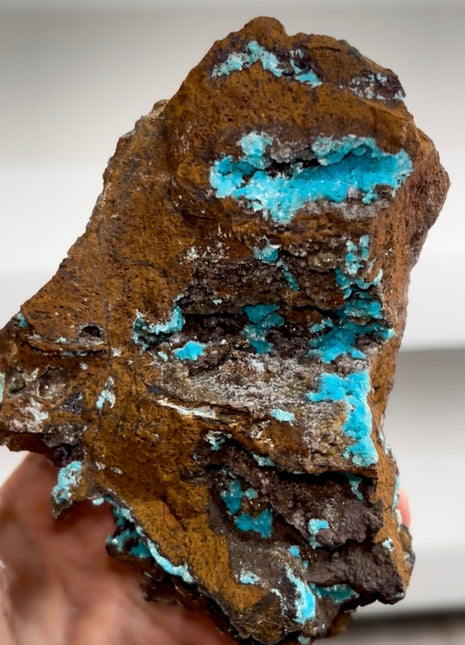 Blue Aurichalcite Geode Specimen PM1207