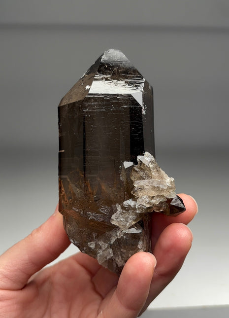 Smoky Quartz 💎 From Galenstock, Switzerland