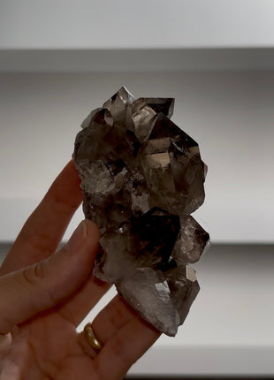 Smoky Quartz from Mont Blanc PM1125