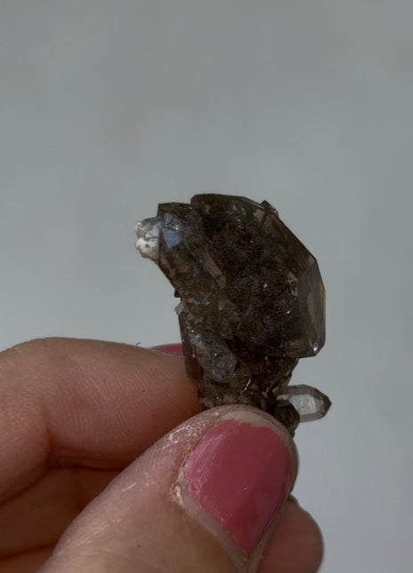 Chlorite Included Quartz - From Chamonix, French Alps