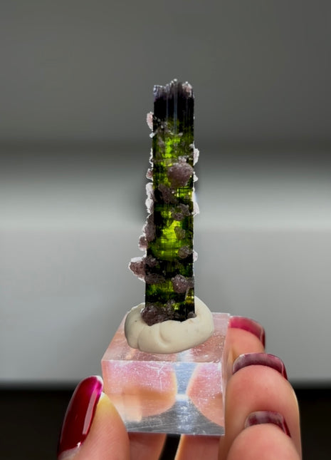 New ! Green Tourmaline with Lepidolite