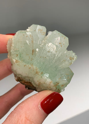 Green Apophyllite with Druzy Stilbite