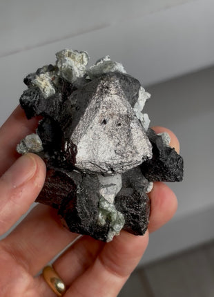 Magnetite from Russia Collection # 801