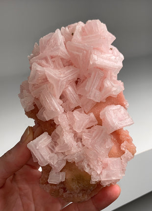 New ! Pink Halite with Great Crystallization - from Searles Lake, California