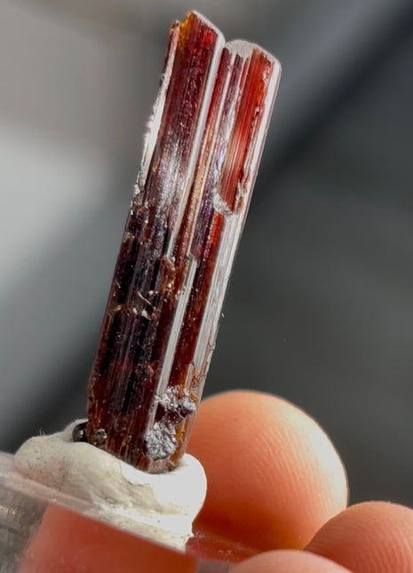 Red Rutile from Diamantina mine, 1990s find PM0851