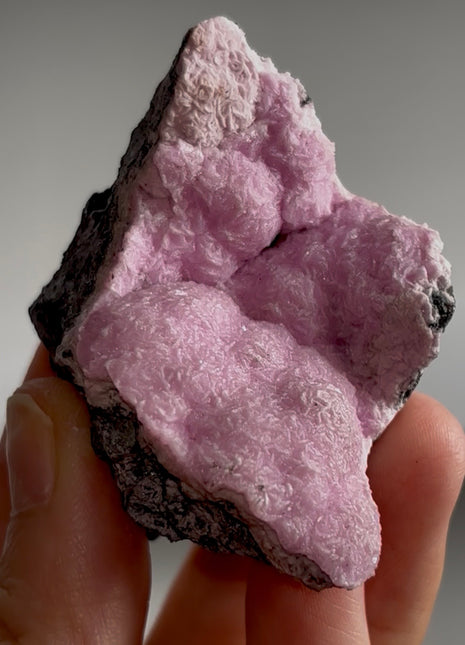 Pink Cobaltocalcite Specimen PM1123