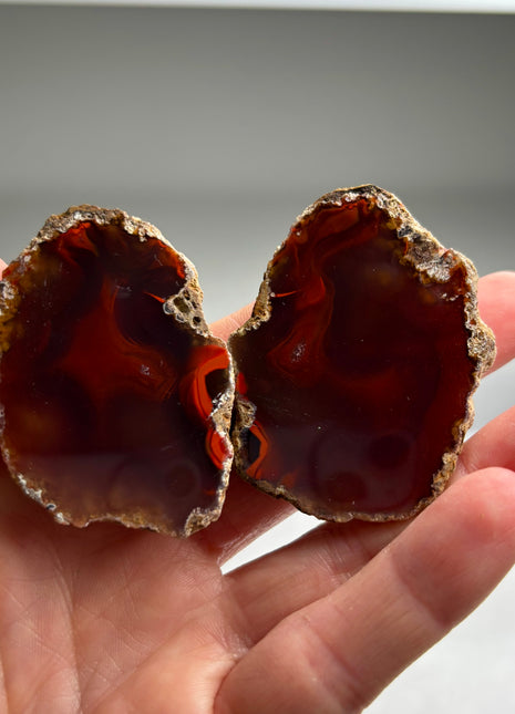 New ! Black Sea Agate Pair