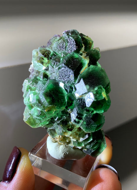 New find ! Fluorite w/ Black Tourmaline - From Erongo, Namibia