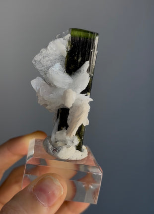 Green Cap Tourmaline with Cleavelandite Collection # 689