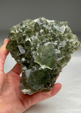Moss Green Fluorite Collection # 541