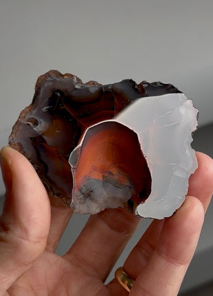 Red Fox Agate Geode from Argentina