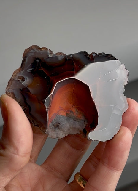 Red Fox Agate Geode from Argentina