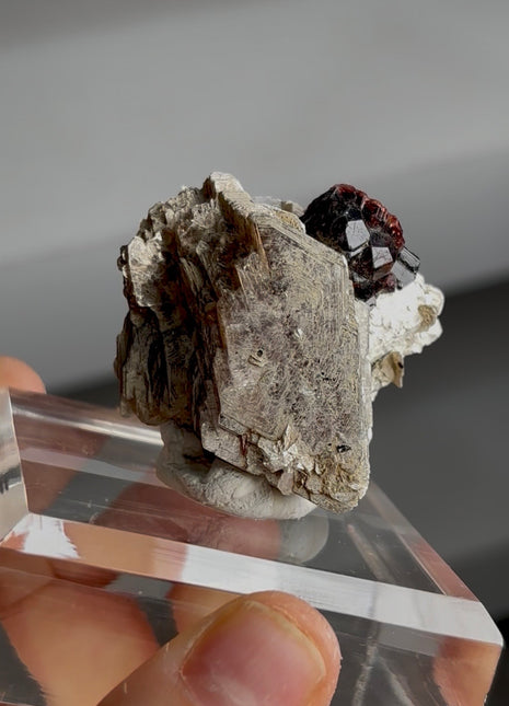 Red Garnet with Muscovite PM0371