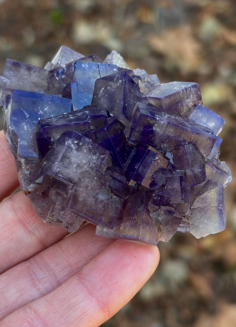 Color Change Fluorite from Weardale, England