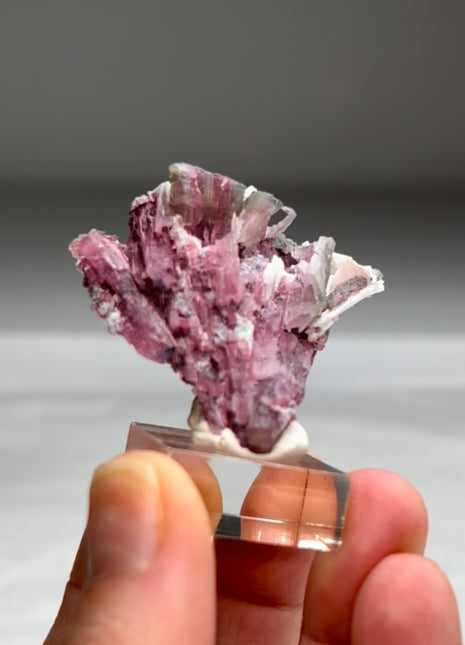 Pink Tourmaline Special Price 💥