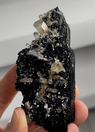 Black Tourmaline with Beryl PM1408