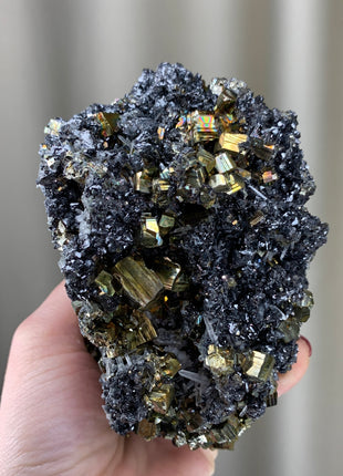 Very Lustrous Pyrite with Sphalerite and Quartz - Borieva mine, Rhodope Mtns