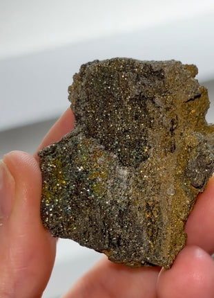Rare ! Pyritized Petrified Wood PM0690