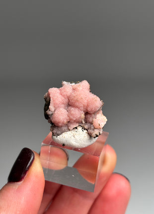 Pink Rhodocrosite - From Potosi mine