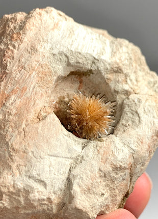 Bursting Sun Aragonite Ball in Cluster - From Pantoja, Spain