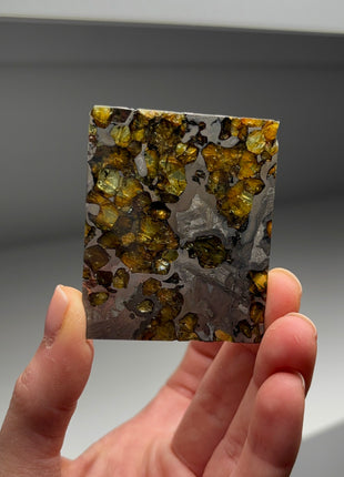 Stunning ! Seymchan Meteorite Pallasite