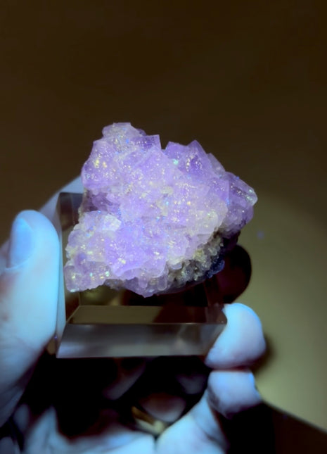 New Arrival ! Galaxy Fluorite