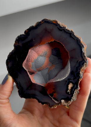 Silvery ! Red Fox Agate Geode from Argentina PM1543