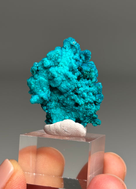 Intense Blue Flowery Chrysocolla - From Peru