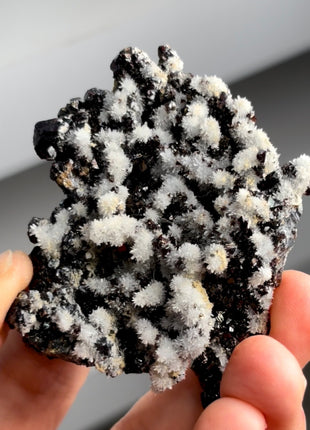 Rainbow Sphalerite with Quartz Flowers PM1236