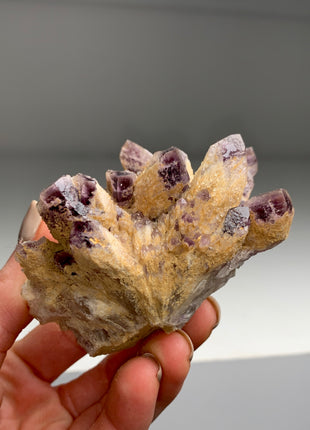 Amazing and Rare ! Phantom Amethyst Specimen - From Zambia