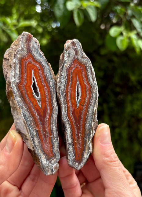 Wow ! Black Sea Agate Pair