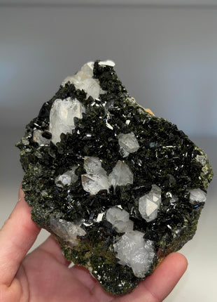 Extra Dark Forest Epidote with Quartz