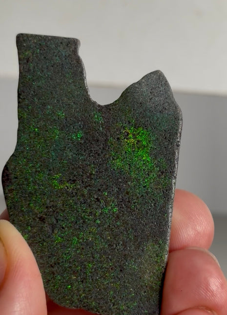 Australian Andamooka Fire Opal PM1147 🌈