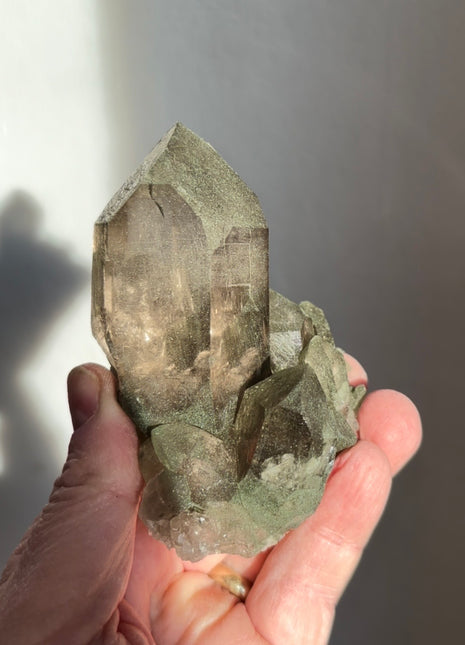 Alpine Smoky Quartz with Green Chlorite ! Wow