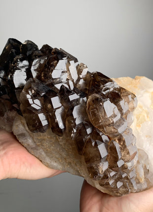 Incredible ! Elestial Smoky Quartz - 5.5 kgs ! From Namibia *