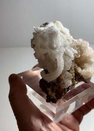 Magical ! Rams Horn Selenite on Matrix