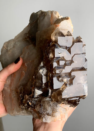 Lustrous Elestial Smoky Quartz on White Quartz - 5 kgs ! From Namibia 🔥🔥