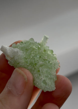 Green Tourmaline Specimen PM1393
