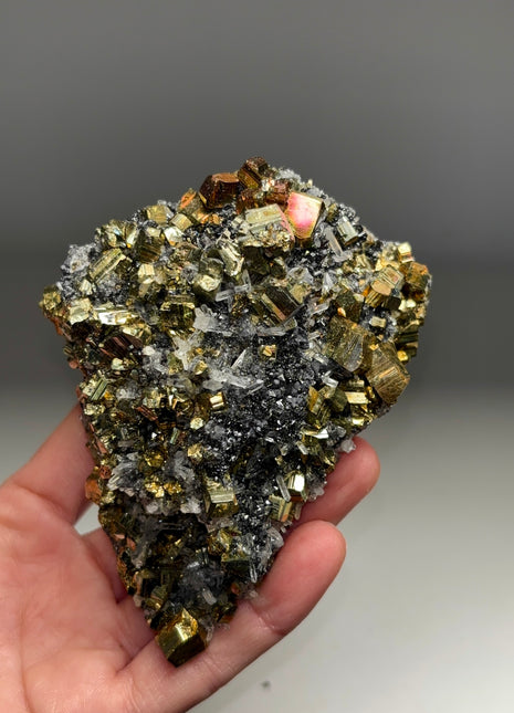 High Grade Pyrite with Quartz