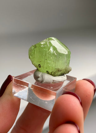 Green Diopside - Merelani Hills, Tanzania