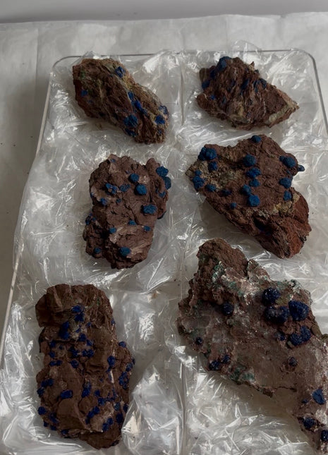6 Piece Lot ! Rare Blueberry Azurite with Gypsum Specimens