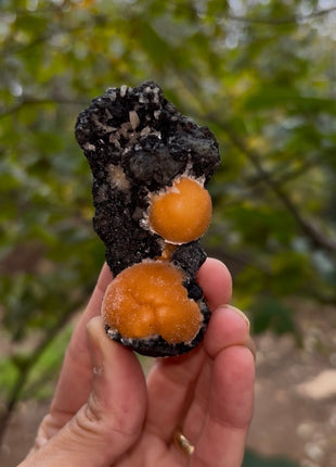 Bright Orange Thomsonite with Mesolite