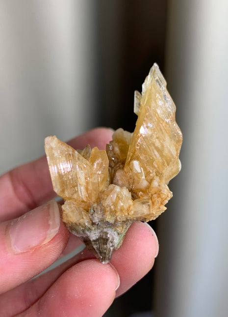 Yellow Selenite - From Lubin mine, Poland