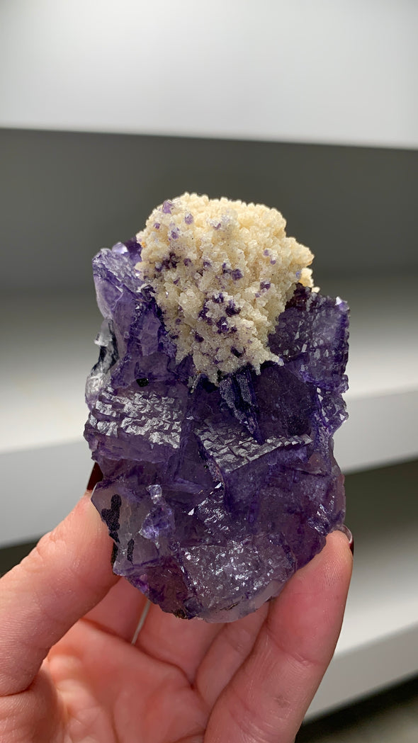 Purple Fluorite with Barite Flower - From Elmwood mine, TN *