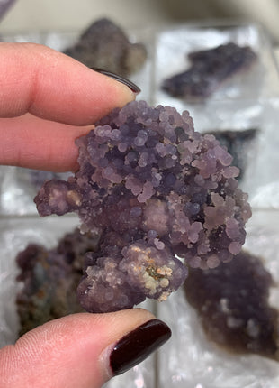 Grape Agate Lot - From Sulawesi, Indonesia - 12 Pieces !