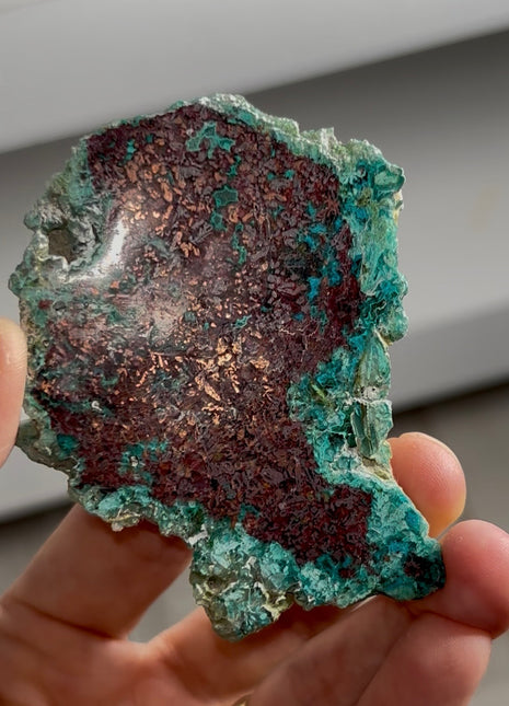 Blue Chrysocolla with Native Copper PM0564