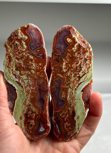 New ! Black Sea Agate Pair