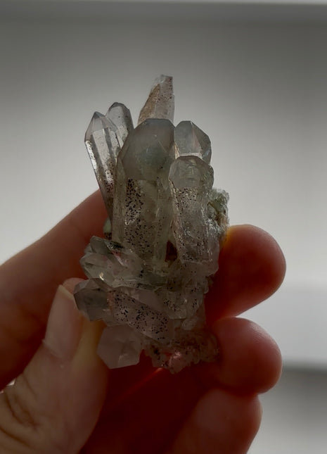 Green and Red Phantom Quartz PM0777