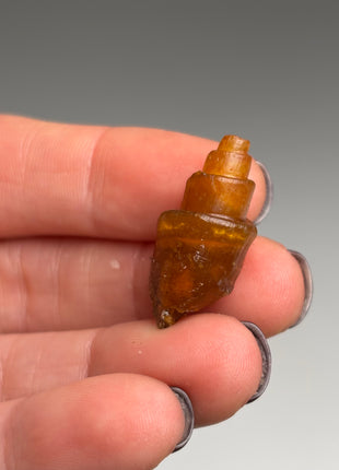 Rare Carnelian Replaced Fossil Gastropods Lot - 18 Pieces