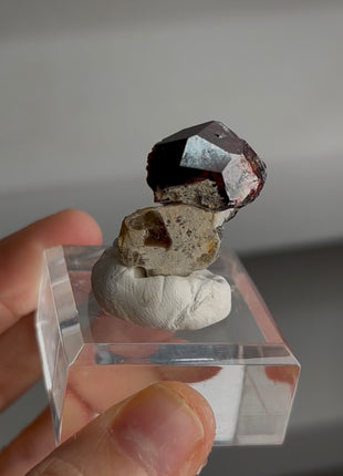 Red Garnet with Muscovite PM0374
